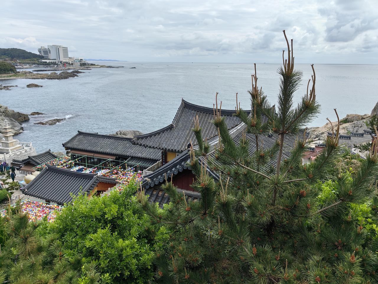 韩国釜山海东龙宫寺濒临日本海，是观音菩萨的道场