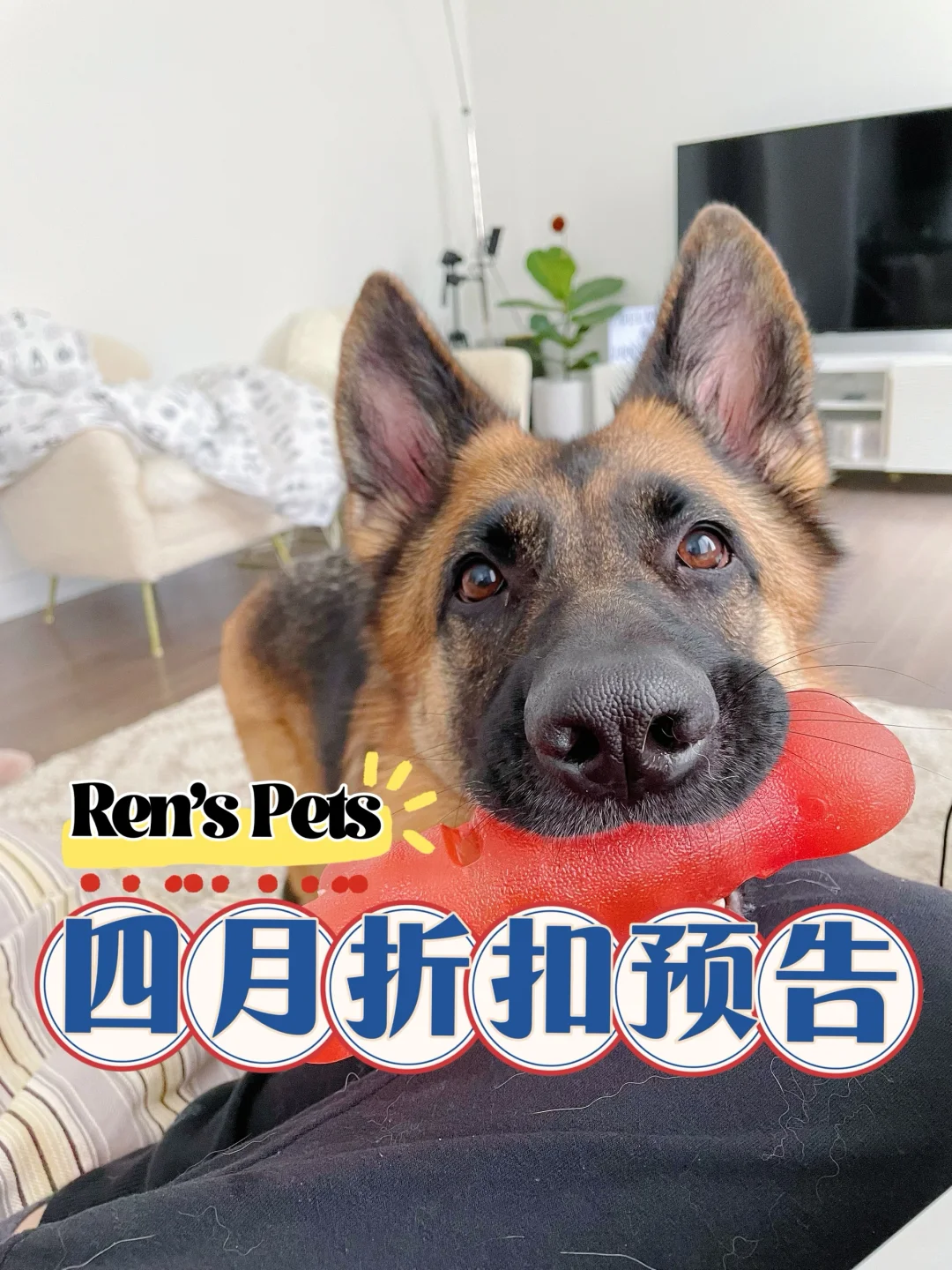 Ren’s Pets 四月$10🔪折扣预告