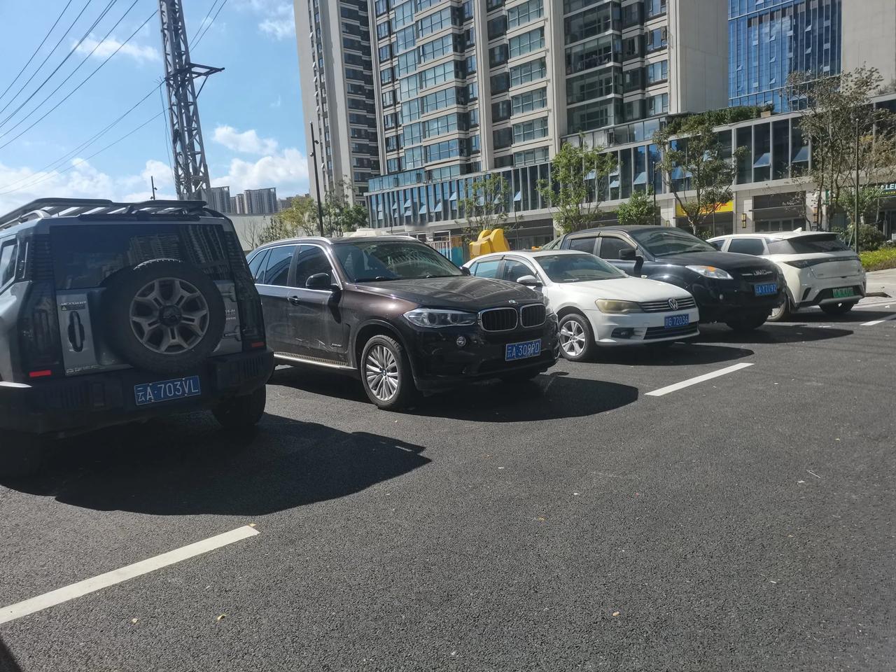 这个是我见过最喜欢把车停在盲道及人行横道线上，人行道上了地方了吧！没有之一。
这