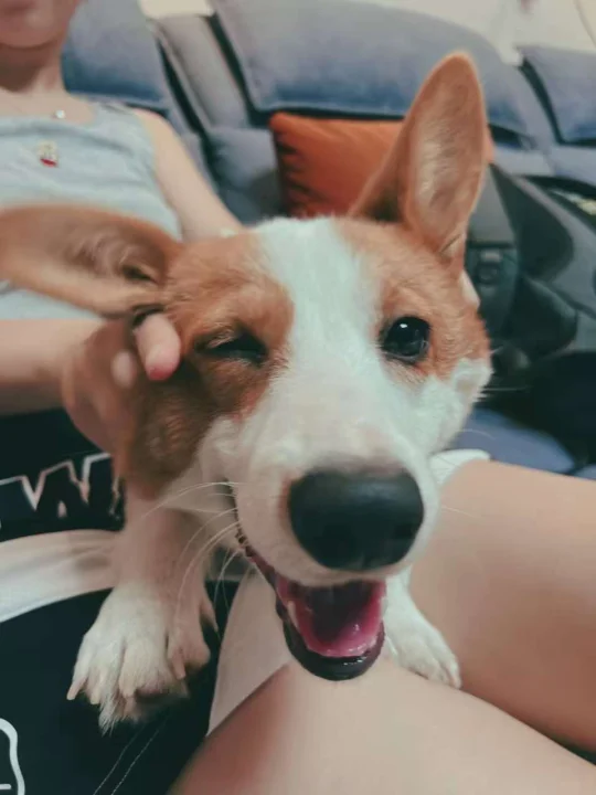 突然翻到宝小时候照片可爱鼠了！