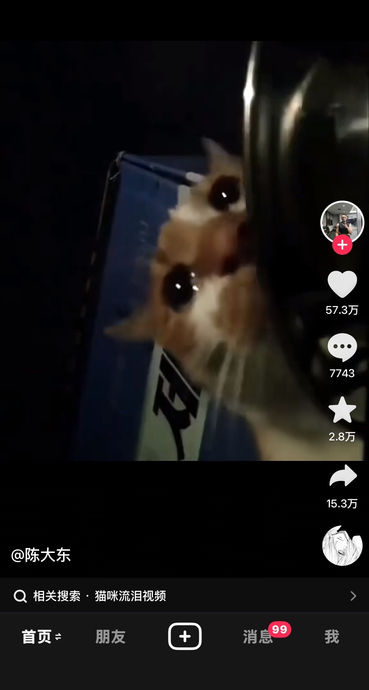 好难过希望大家能善待流浪动物地球不只是人类的