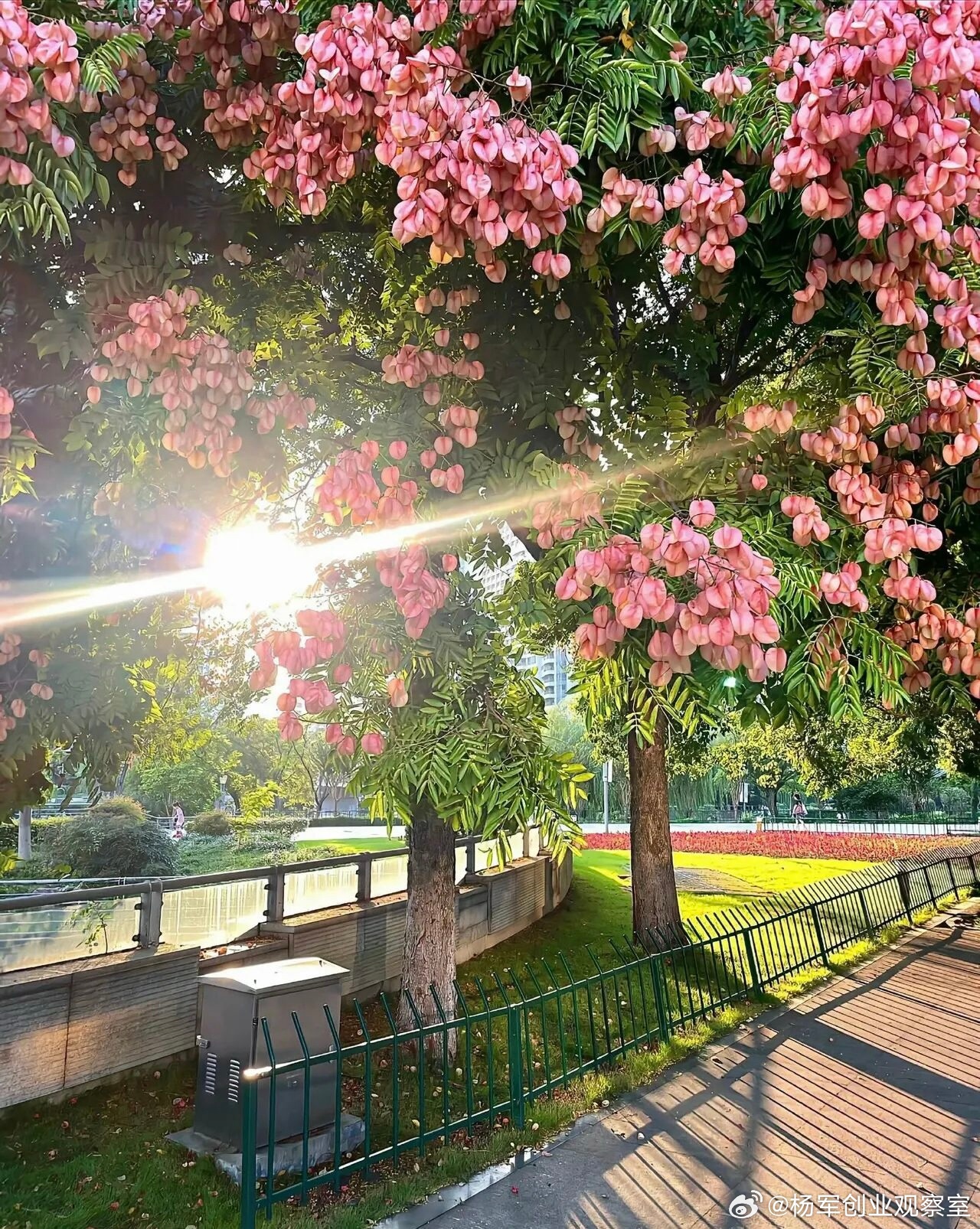 我常被问到：当前创投市场到底怎么了？结合行业一线观察，用干货聊聊市场化创投机构的