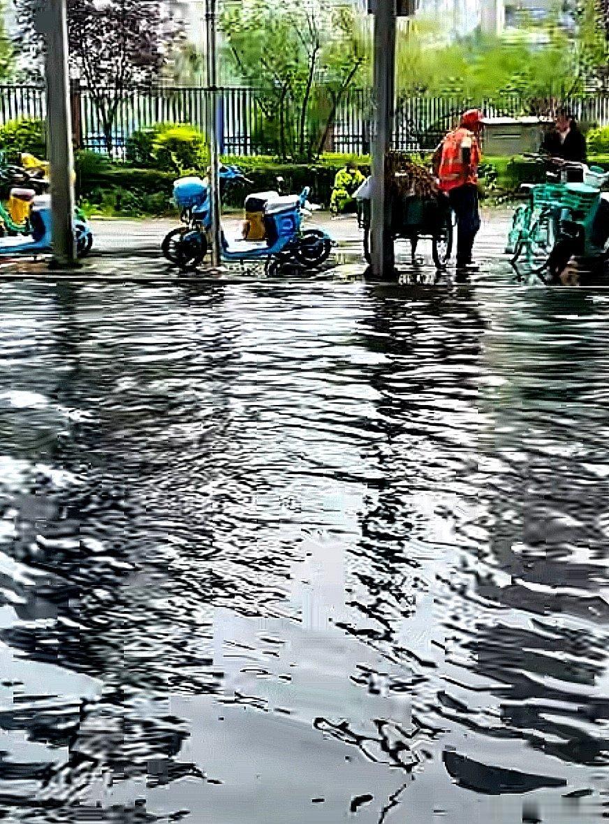 看海的街上 
