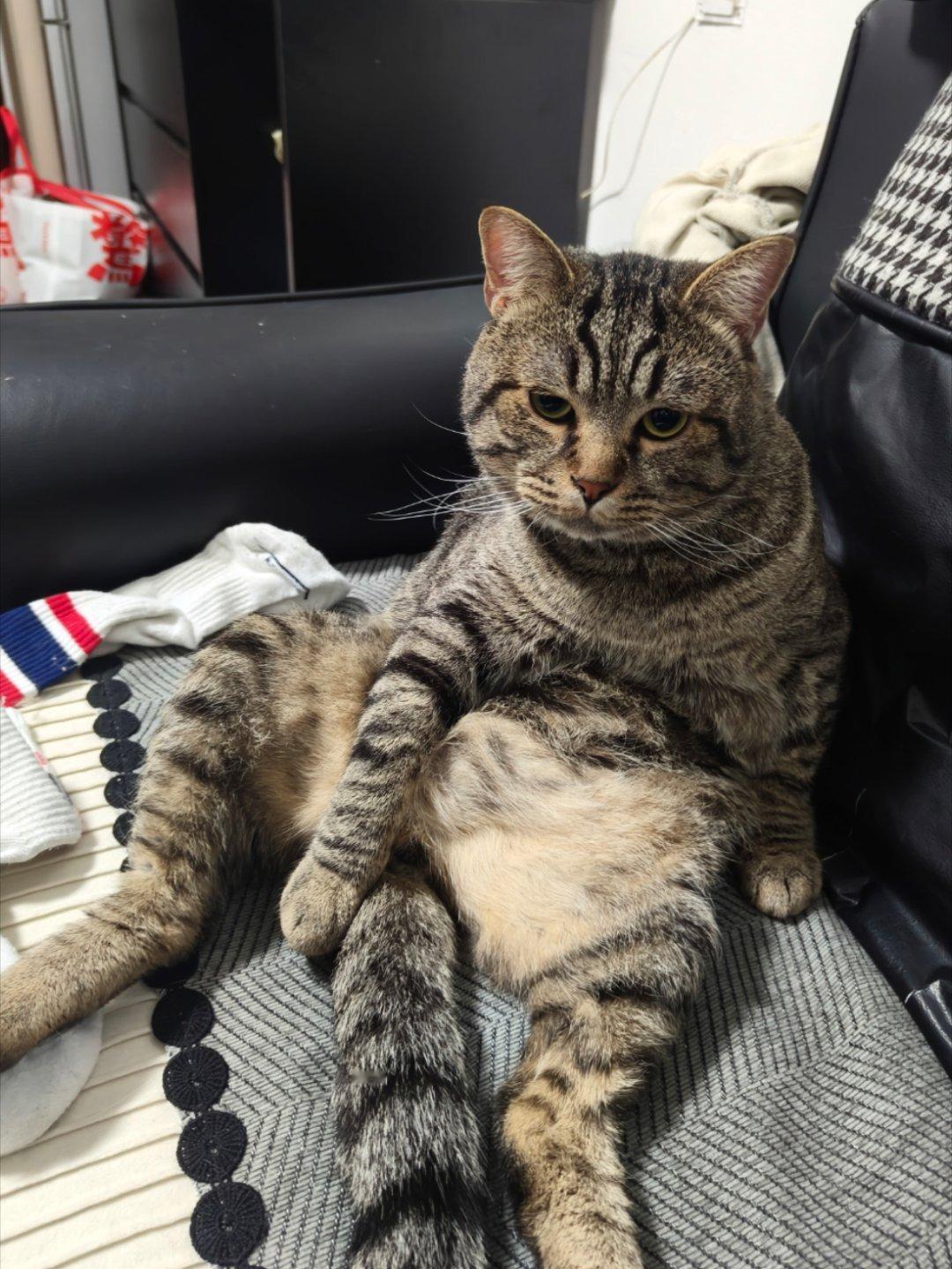 比赛前一天冻感冒是什么体验，我还是赛会单打2号种子call me “康塔维特”