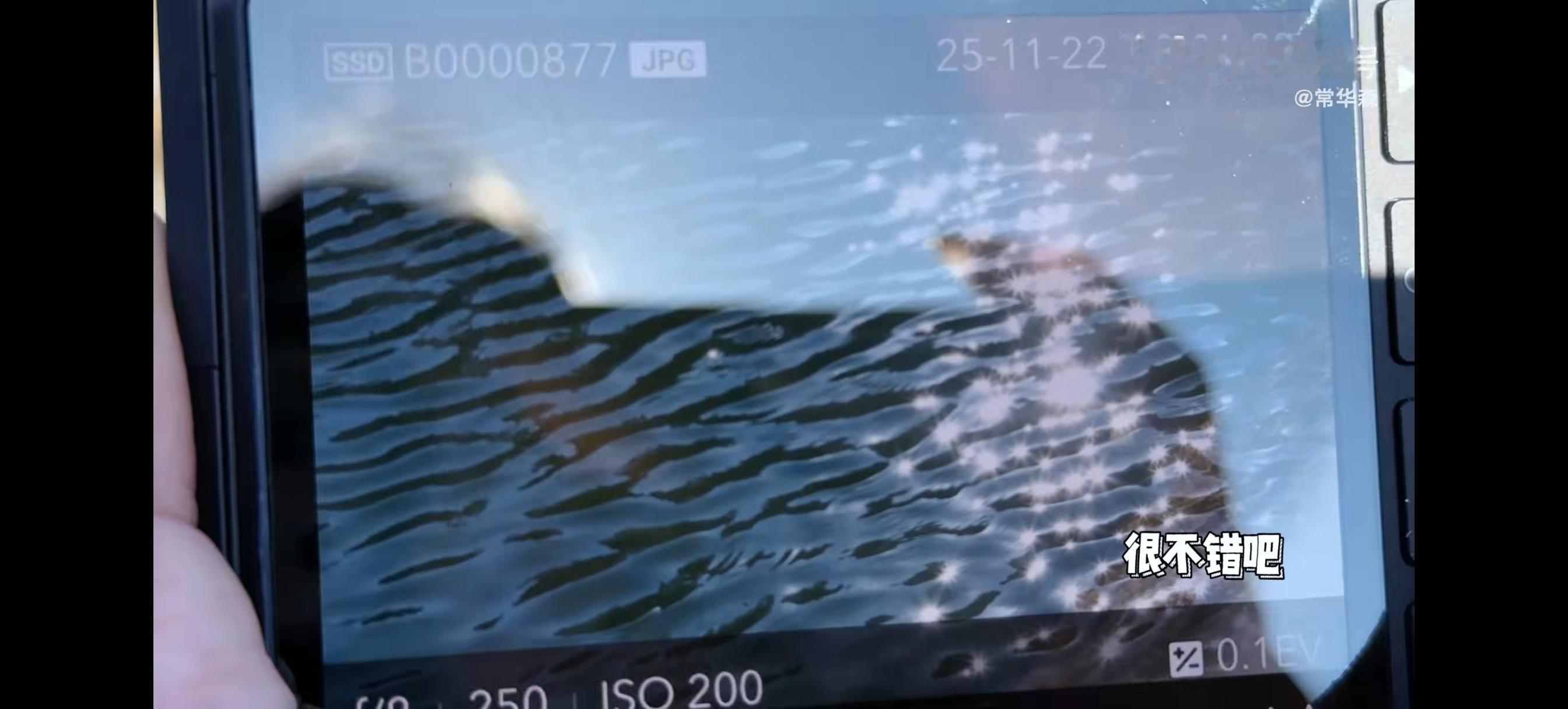 人 下次请把你的摄影作品继续放出来