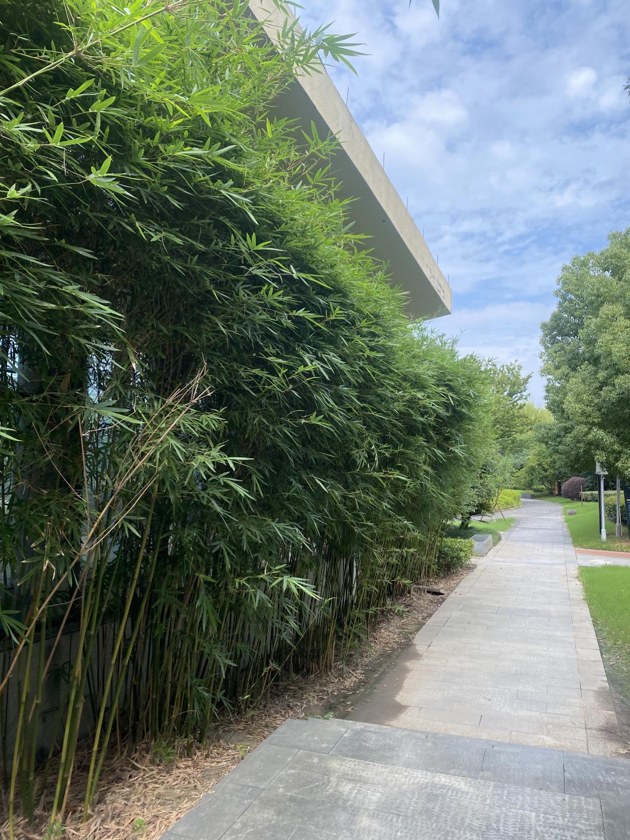 我的今日状态：😁轻松愉快
我这里的天气：☀️晴天