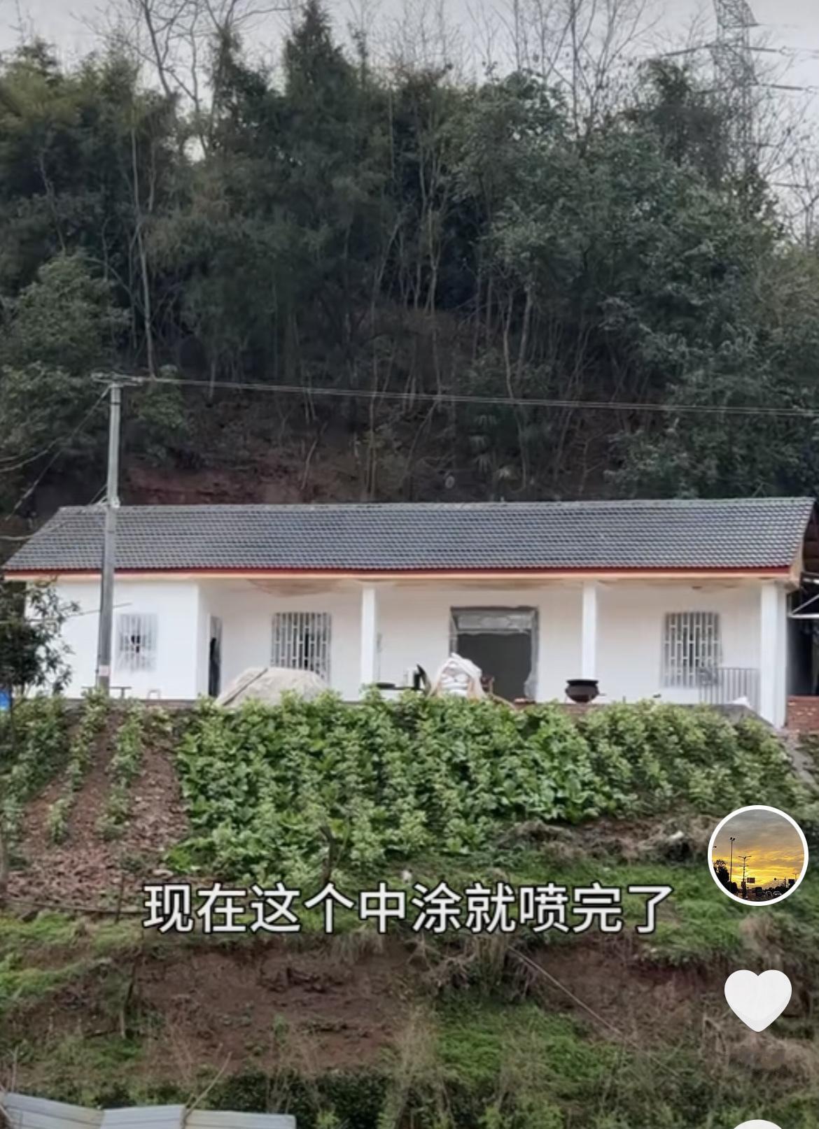 徐三娃丈母娘家的房子开始粉刷了，徐三娃买10斤肥肠、5斤黄辣丁办招待！侄女徐阳厨