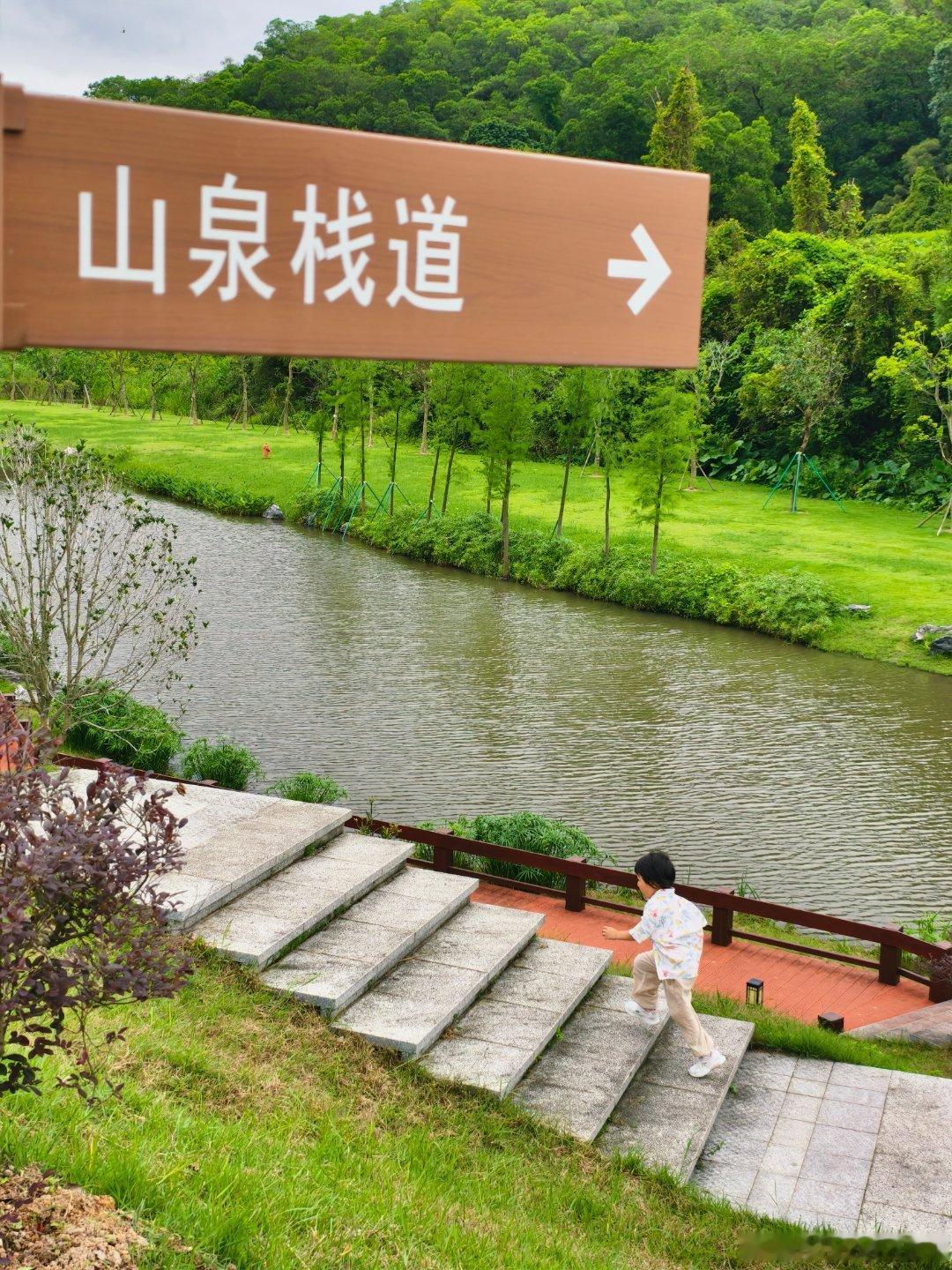 生态中山 古香林公园不愧是中山阿勒泰🐴 