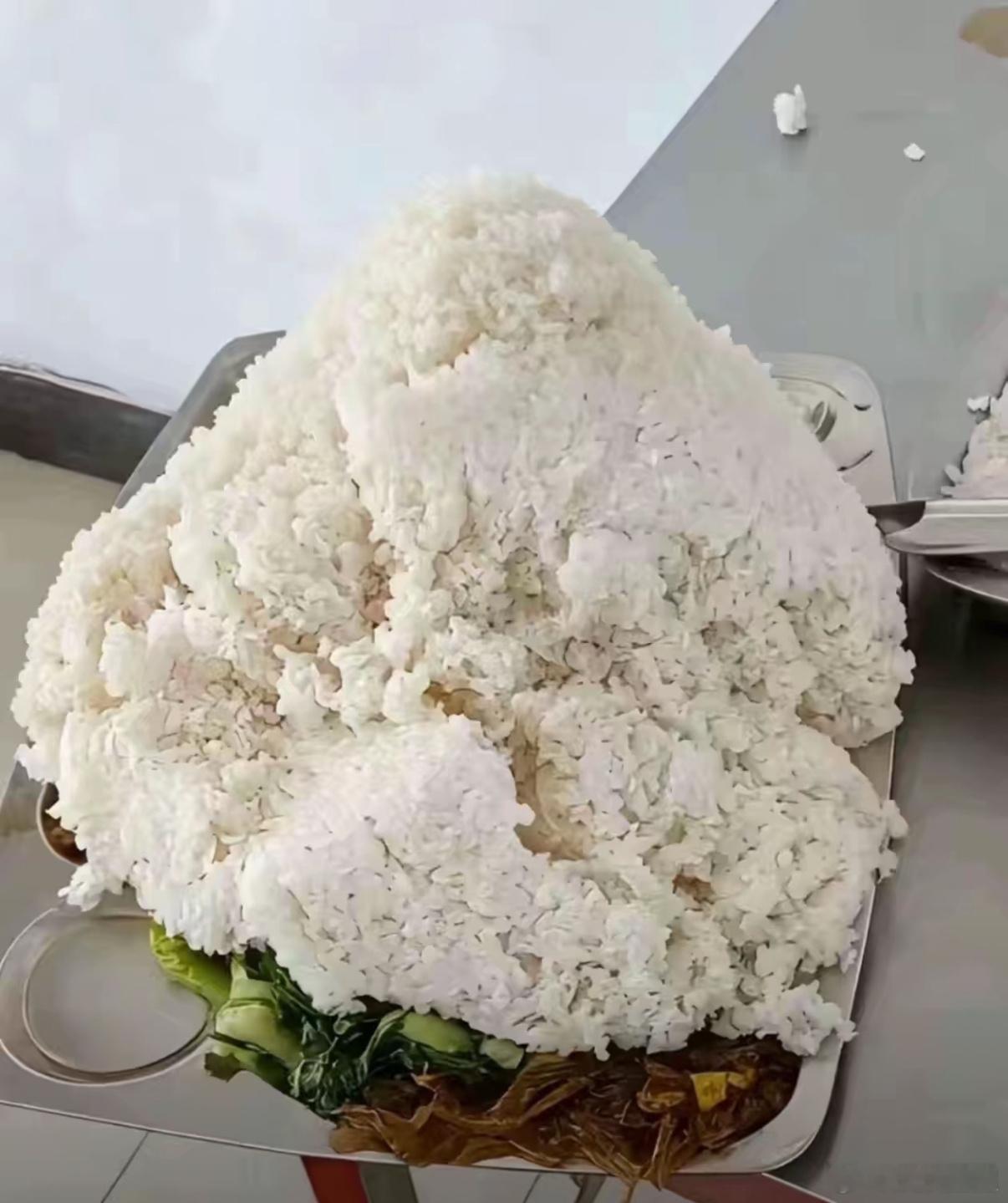 吃饭了 