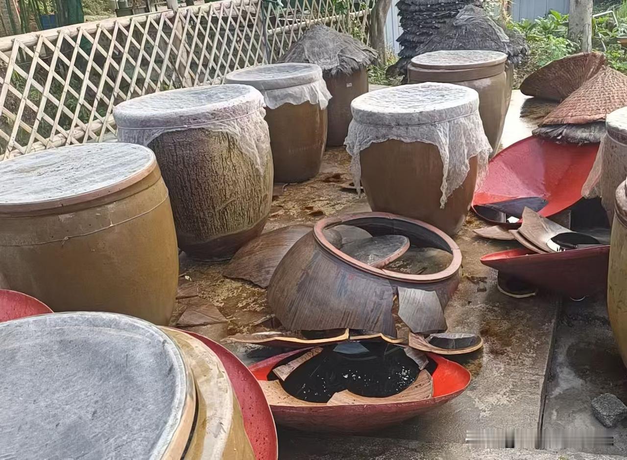 昨晚长宁地震还是对于这个酱油园，整坏了几口缸！这地震可惜了这口百年老缸，