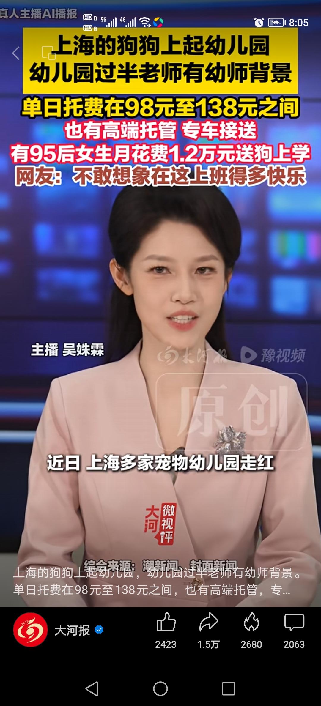 动物投胎也是有讲究的，投胎到上海可以上幼儿园，可以托育，吃得好，穿的好，狗生幸福