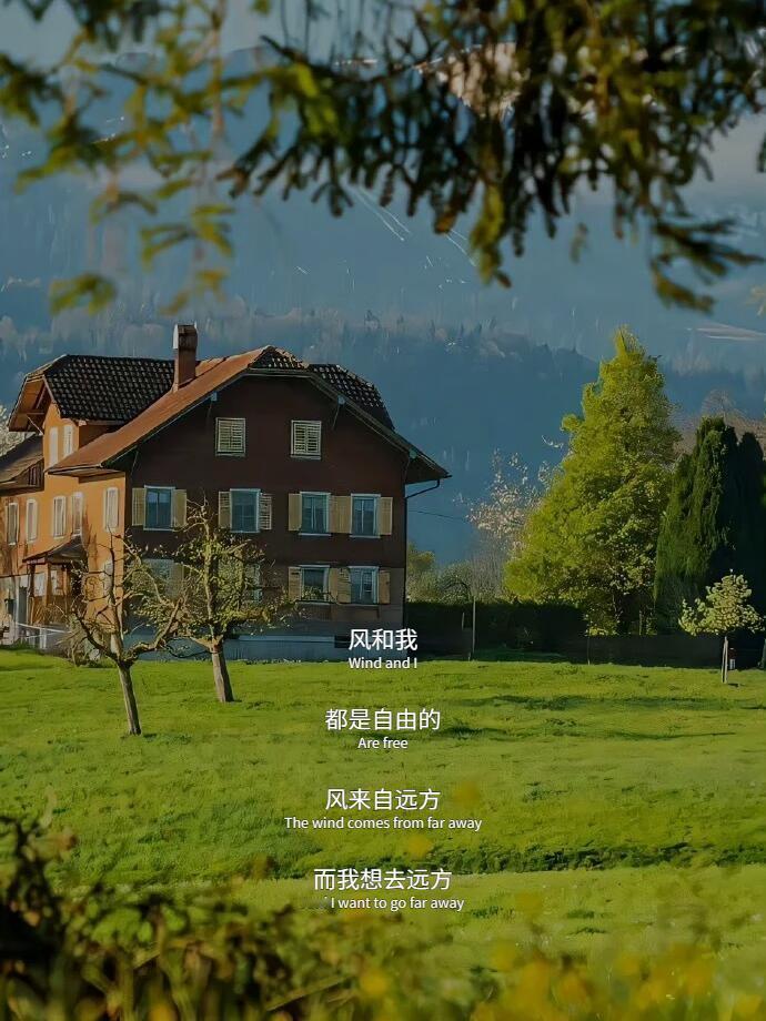 “ 为庸常生活而歌，为赴死浪漫而活。” ​​​