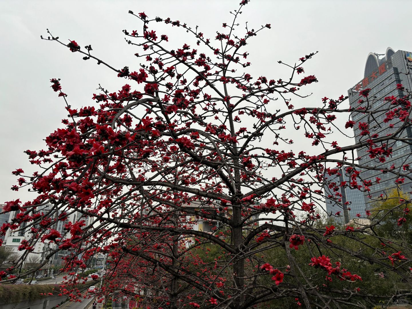 上班路上的美景！