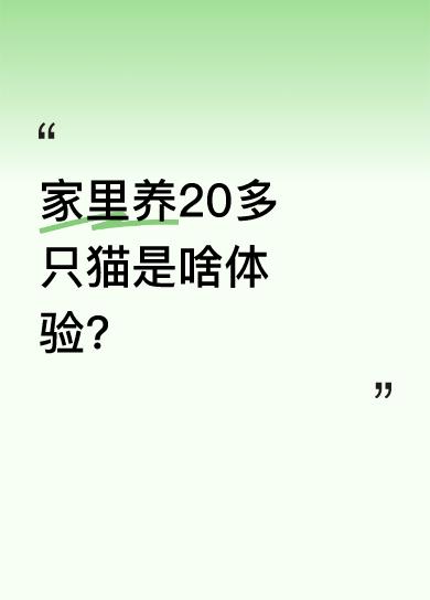 有网友说，去养了20多只猫的朋友家，第一感觉就像中了山贼的埋伏。想象一下，那么多