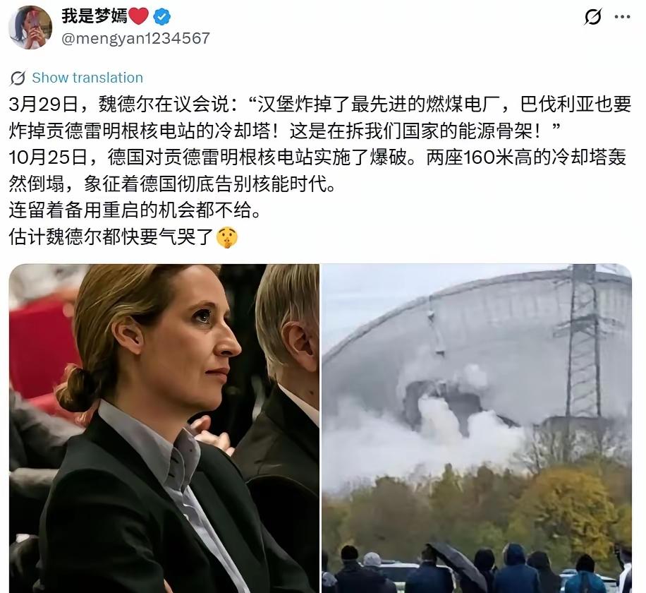 实在不太理解德国究竟在干嘛？
魏德尔在议会说：“汉堡炸掉了最先进的燃煤电厂，巴伐