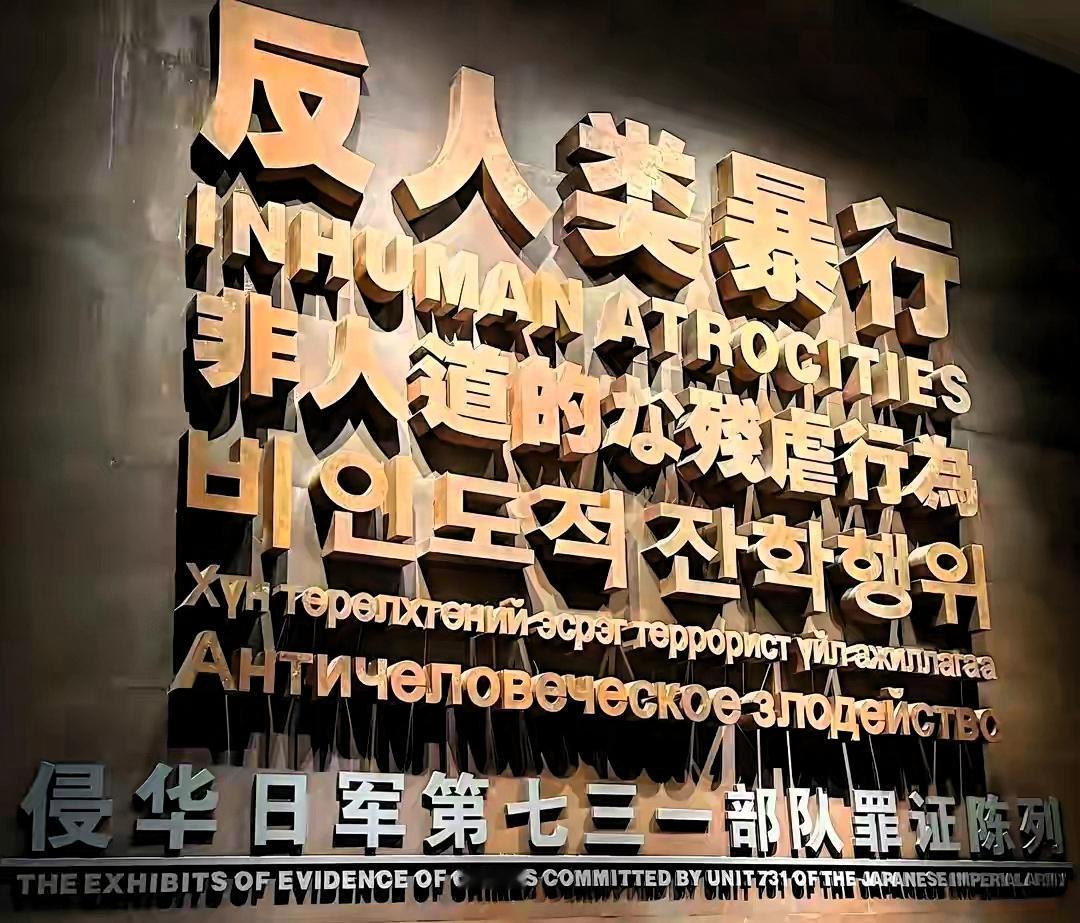 新罪证曝光！日军军医魔爪伸向本国士兵，刻意制造疟疾感染人体实验
 
前言
8月1
