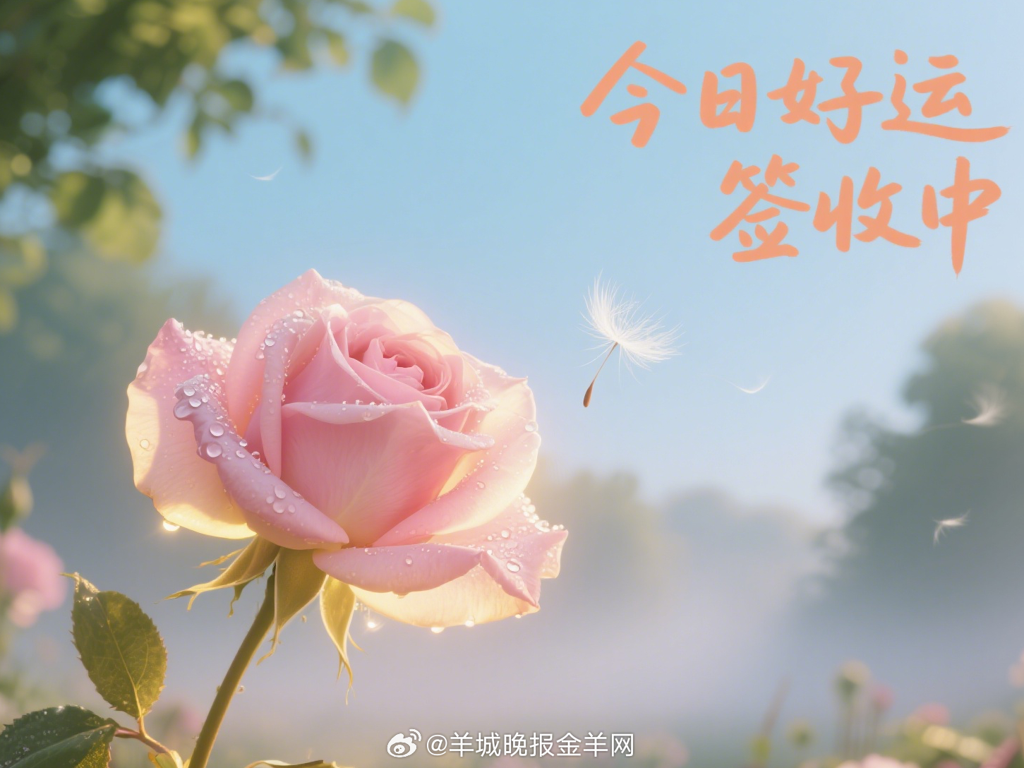 #早安# 晨光吻醒花瓣时，风捎来一句：今日好运签收中[太阳] ​​​
