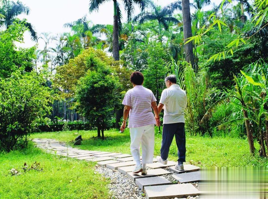 #微博健康公开课##这个问题吃什么##吃出好代谢# 【坚持散步的10大好吃】9.