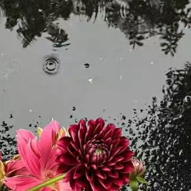 雨敲在鳞鳞千瓣的瓦上，由远而近，轻轻重重轻轻，夹着一股股的细流沿瓦槽与屋檐潺潺泻