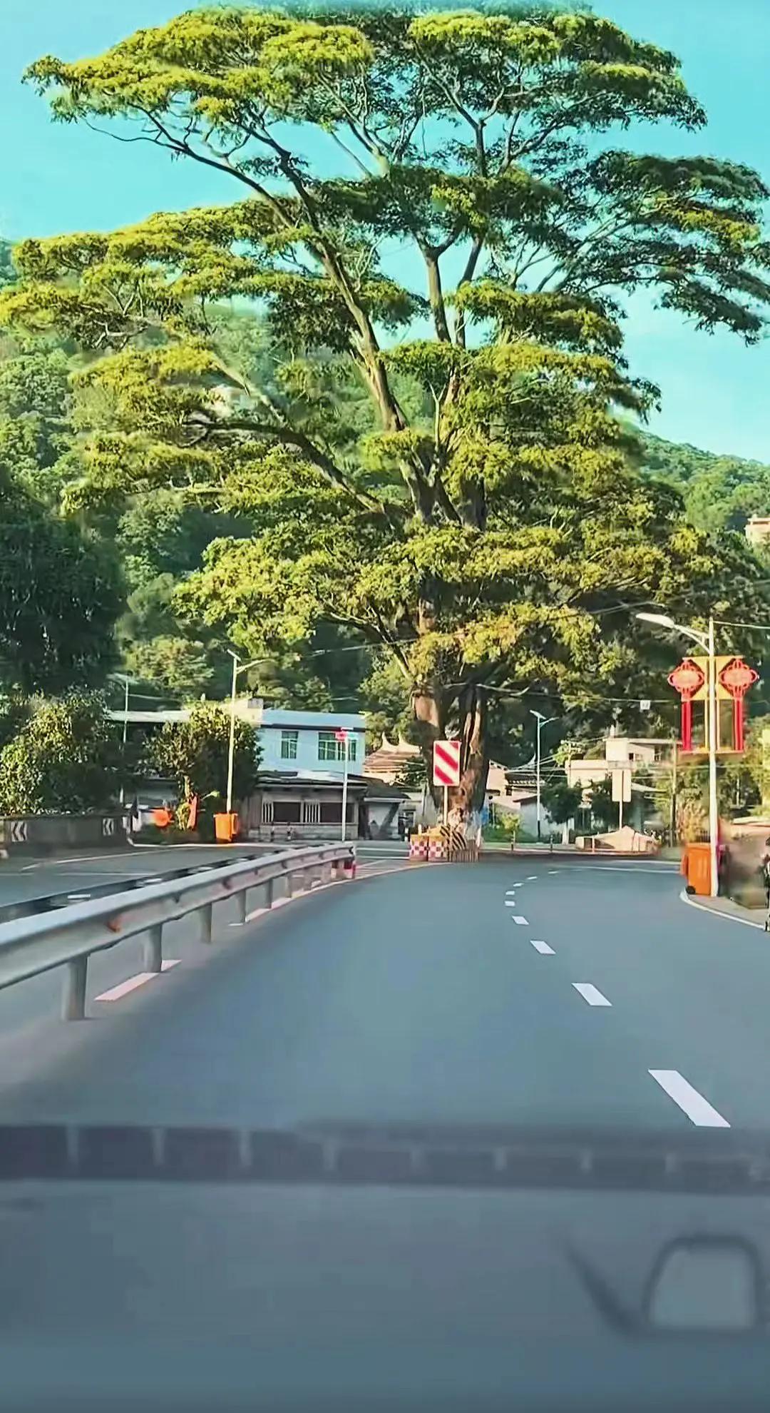 行驶在盘山公路上，每一帧都是风景画！🌳🚗 盘山公路的视角