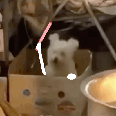 [泪奔]怎么办啊还没睡着 ​​​