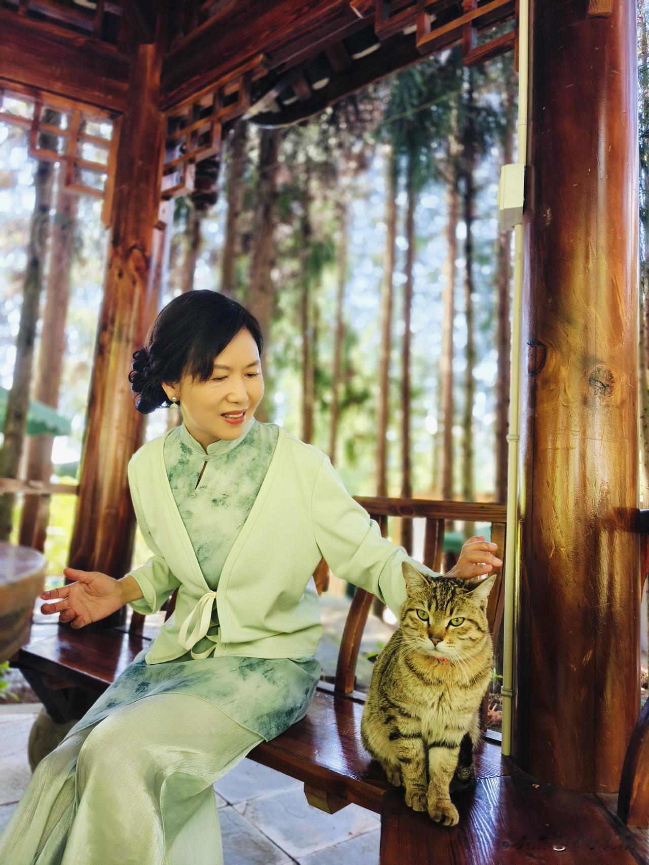 记录我的2026寺庙里的小猫，非常亲人，喂了猫粮，会一直守在身边。