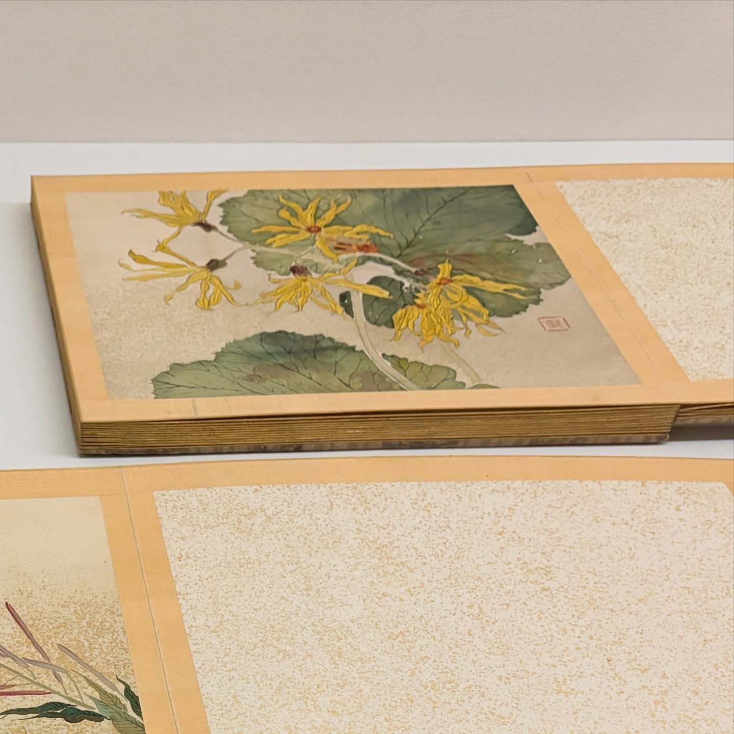 鈴木絢音「石崎光瑤」 ​​​