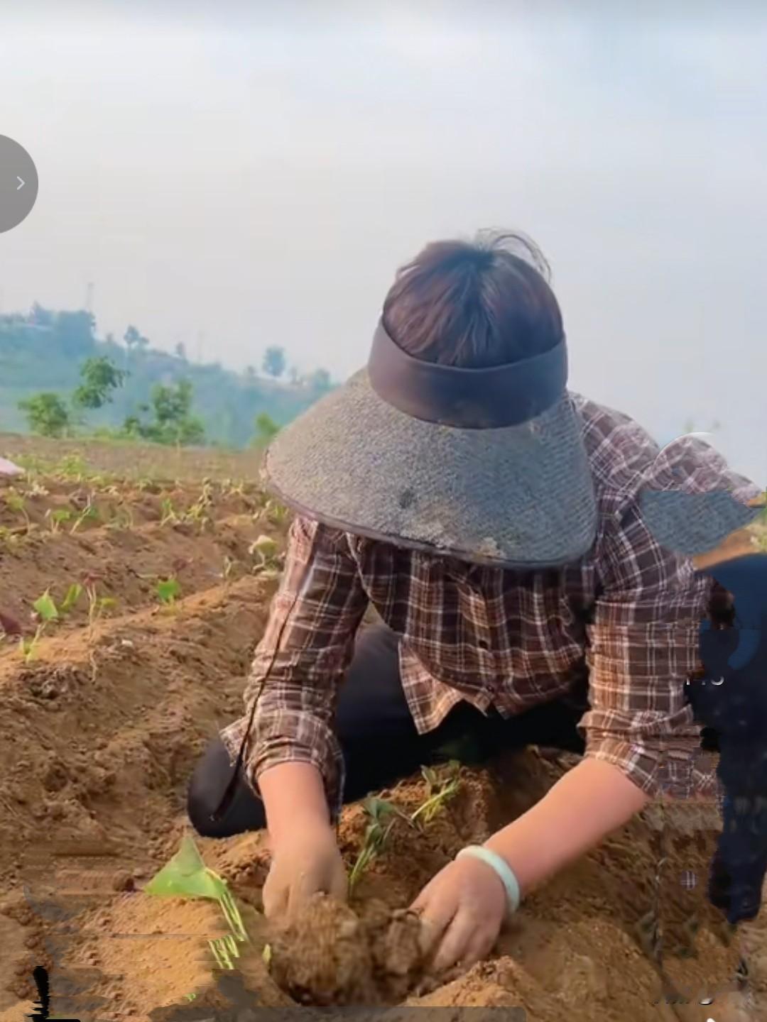 傻大妮带着大玉镯，在泥土地里种红薯，弄得玉镯脏兮兮的，失去了应有的光泽，看着好心