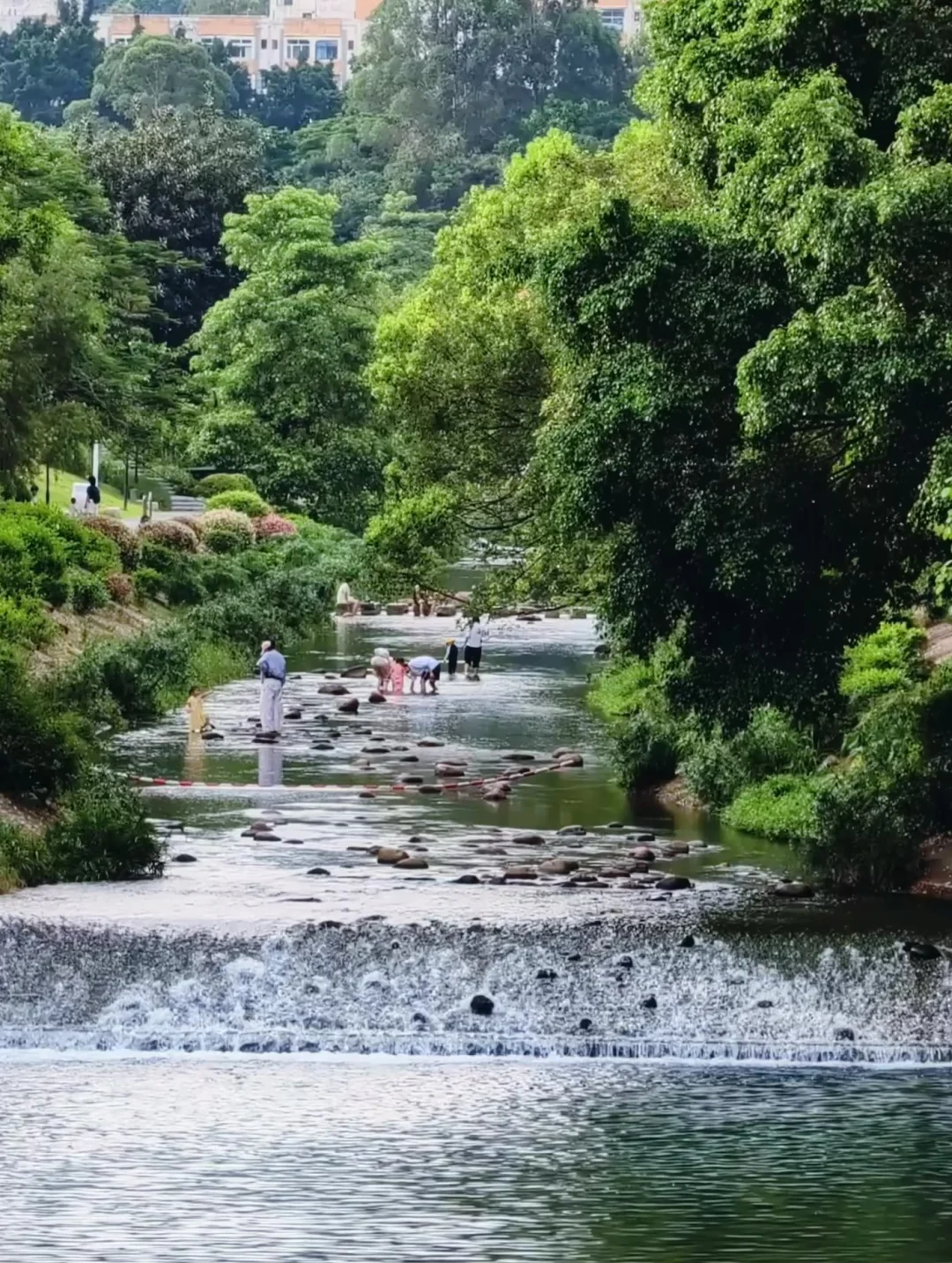 深圳夏日5条遮阴绿道｜清凉徒步不晒版
