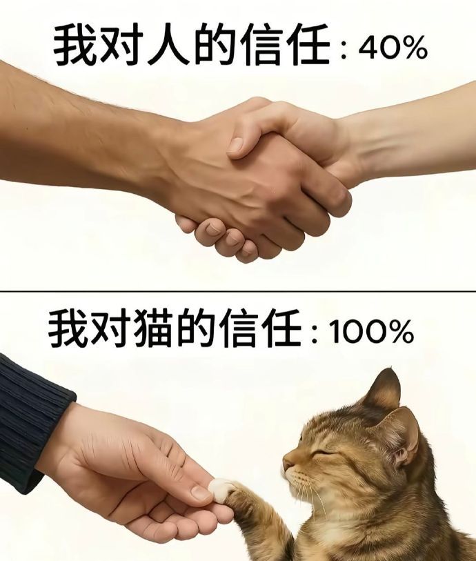 百分百信任猫咪。但是不会轻易相信人。 
