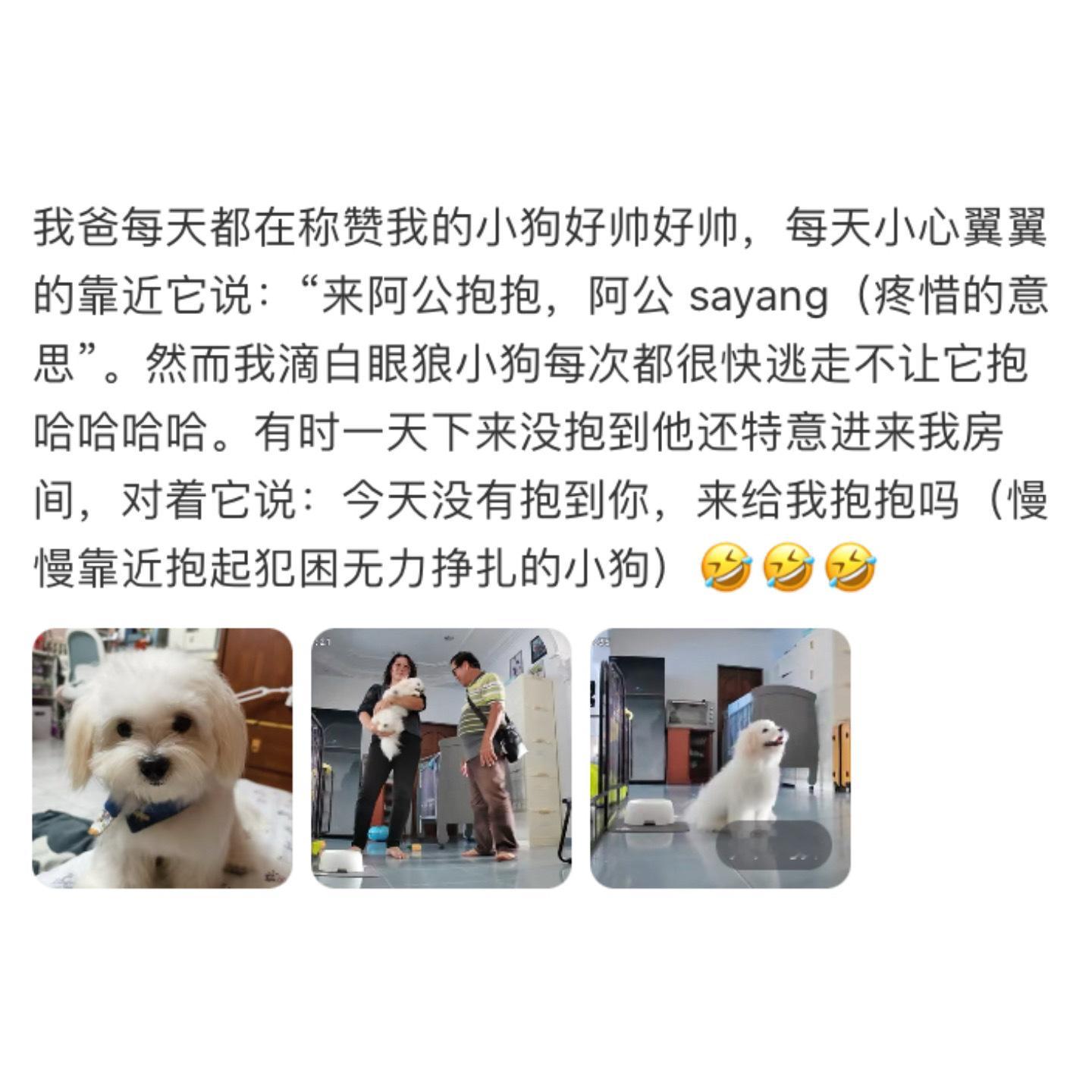当家里人对家里的宠物有滤镜时