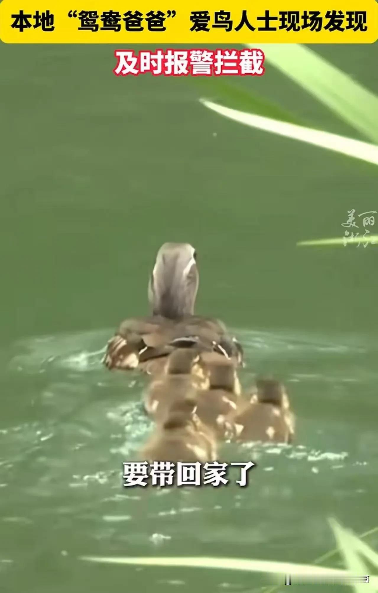 事件全貌（5月4日 杭州太子湾）
 
五一期间，一名女游客徒手抓住刚出生不久的小