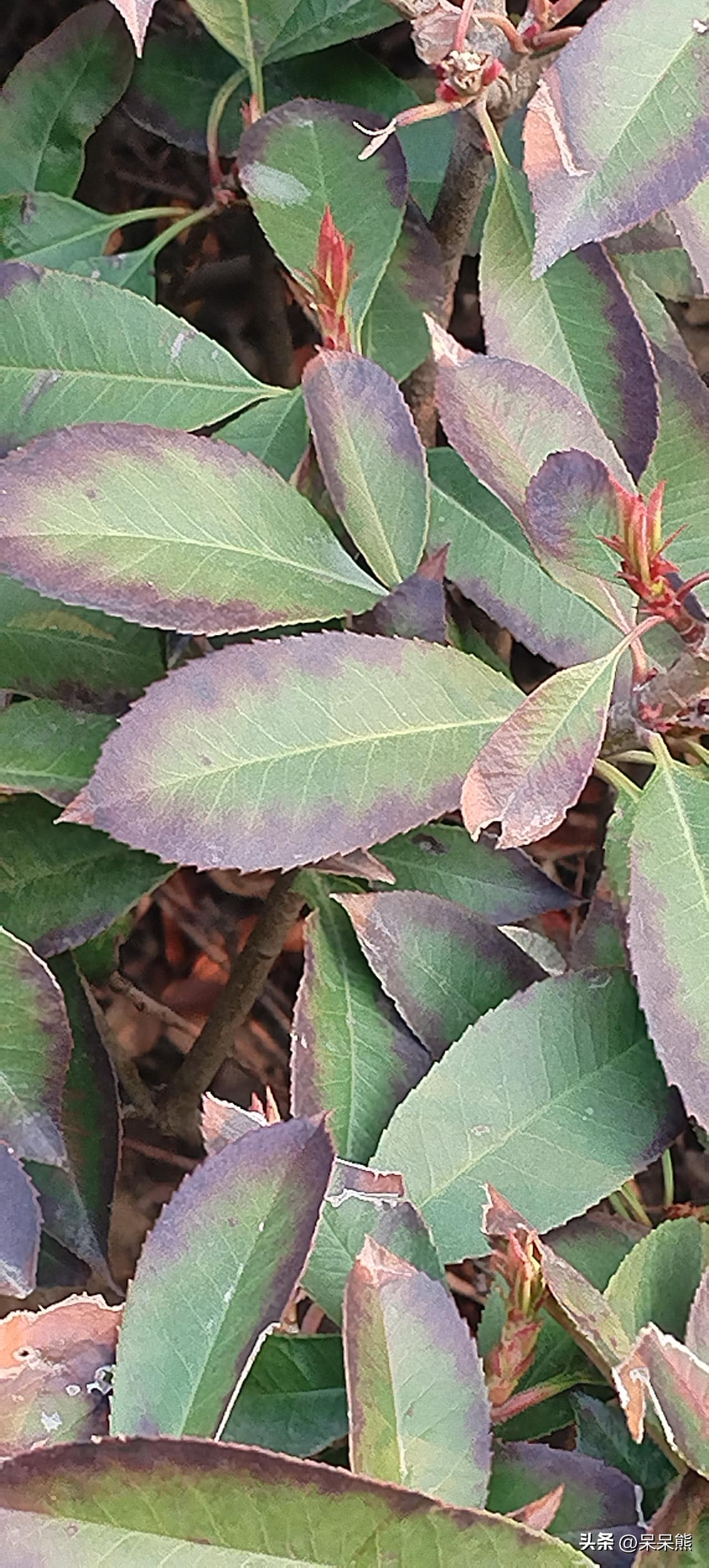 我记得我上学那会，满天飞的是上学无用论。说什么你看当老板的都是没怎么读过书的！那