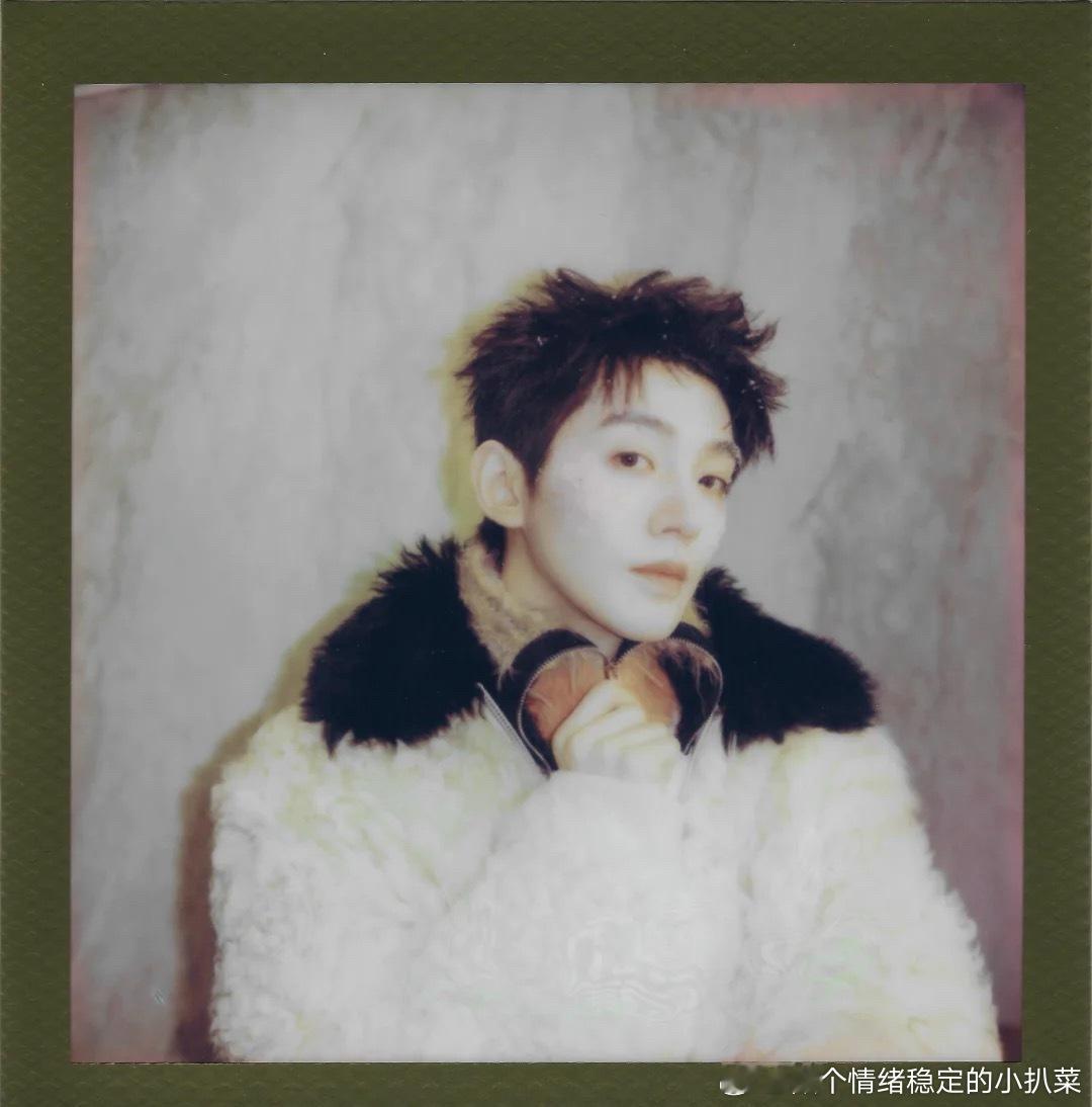 花儿与少年[超话]  柿子悬挂在枝头摇摇欲坠，像秋天舍不得熄灭的小灯笼​​​