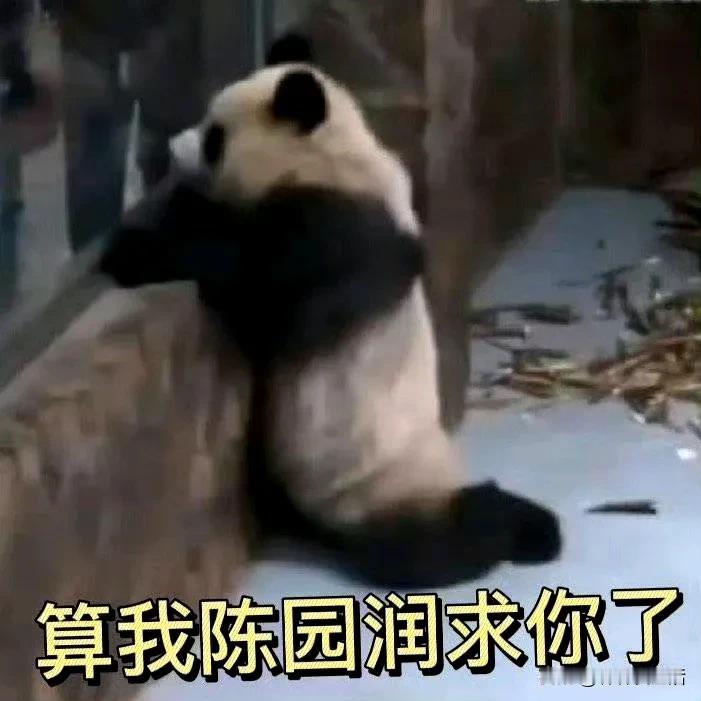 这是老照片吗？第1张肯定是老照片，这第2张 ，我真忘记了。

但是圆润啊，你说说