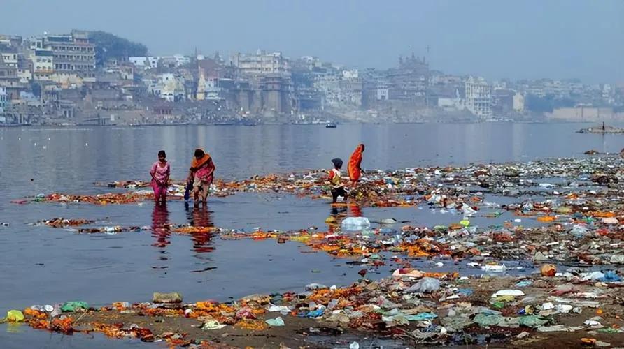 中国暂停进口水产品后，印度经营水产品的商家高兴得合不拢嘴，认为机会来了。
   