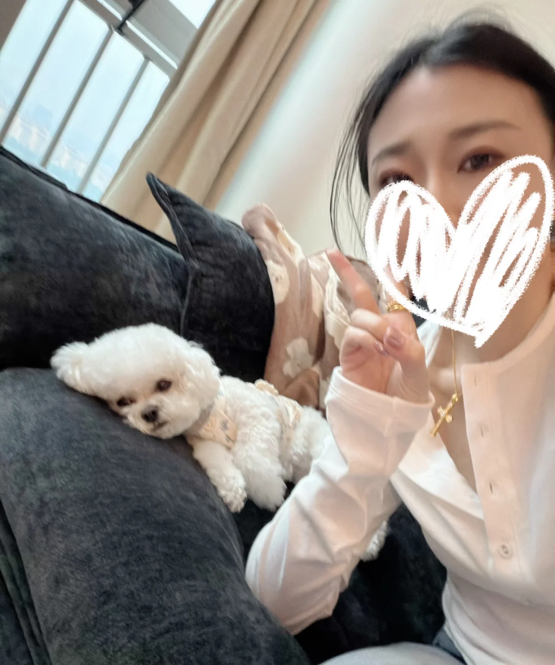 没更新的日子都在好好陪狗
