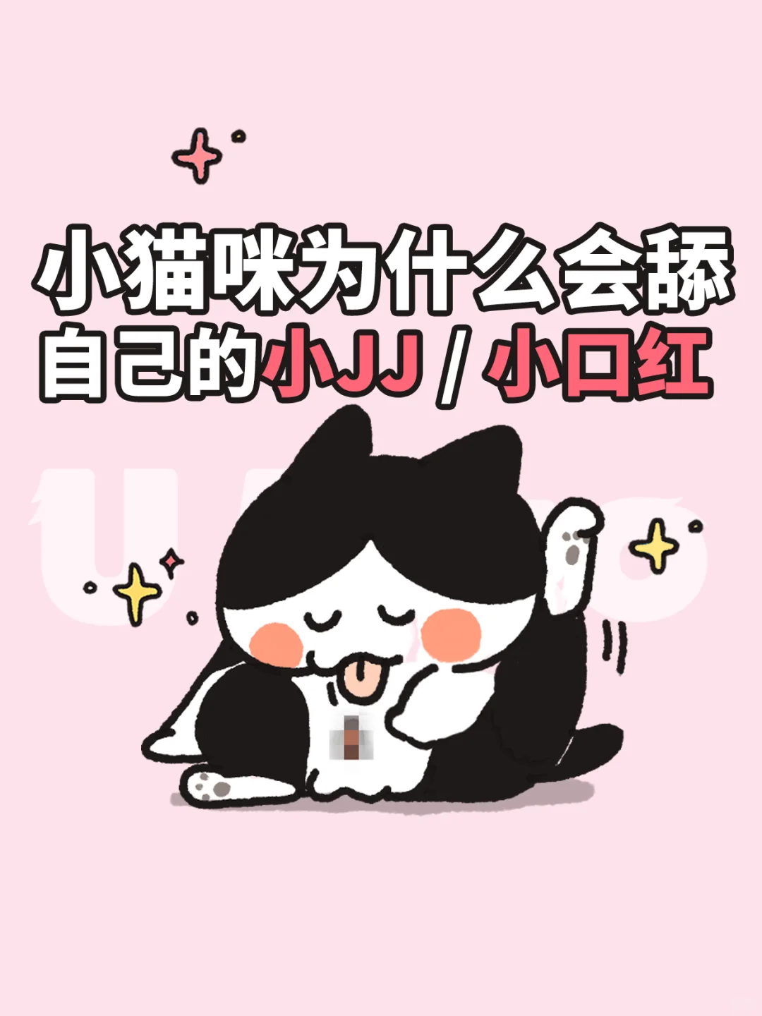 小猫咪为什么会舔自己的小JJ?小口红？