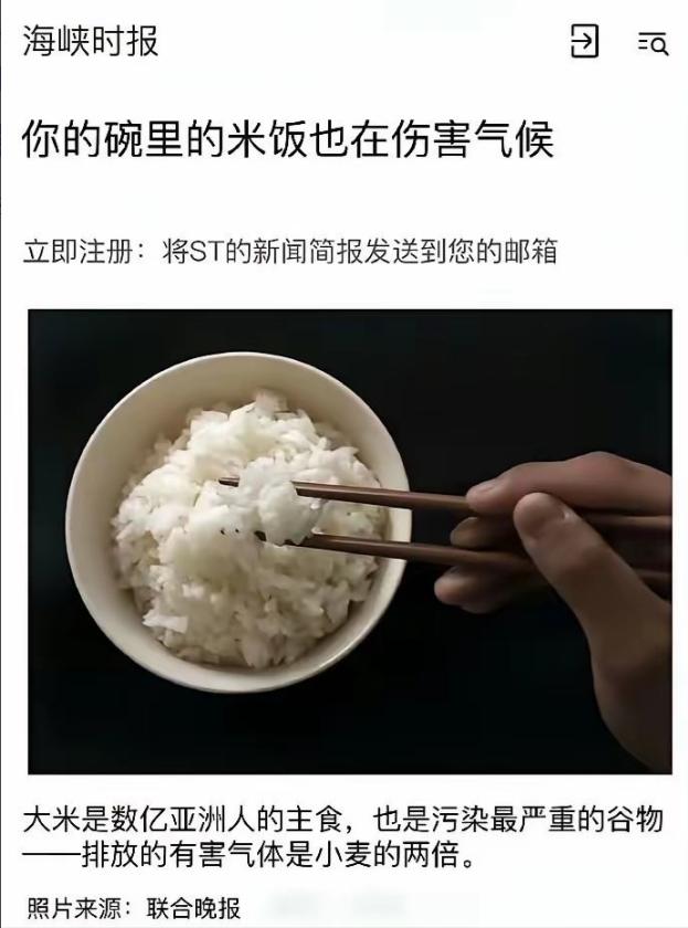 新加坡媒体：你的碗里的米饭，也在伤害气候！文章称水稻种植碳排放远超小麦，将亚洲人