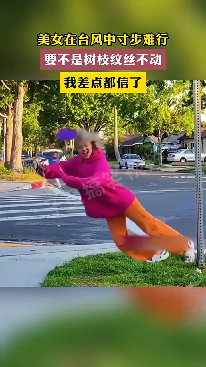美女在台风中寸步难行，要不是树枝纹丝不动，我差点都信了。