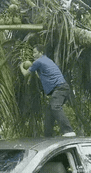 费那么大的力气
光看视频就感觉自己的牙疼了[捂脸]