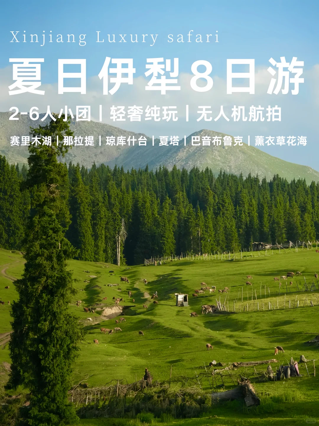伊犁小团8日旅行，解锁绝美秘境！人少景美