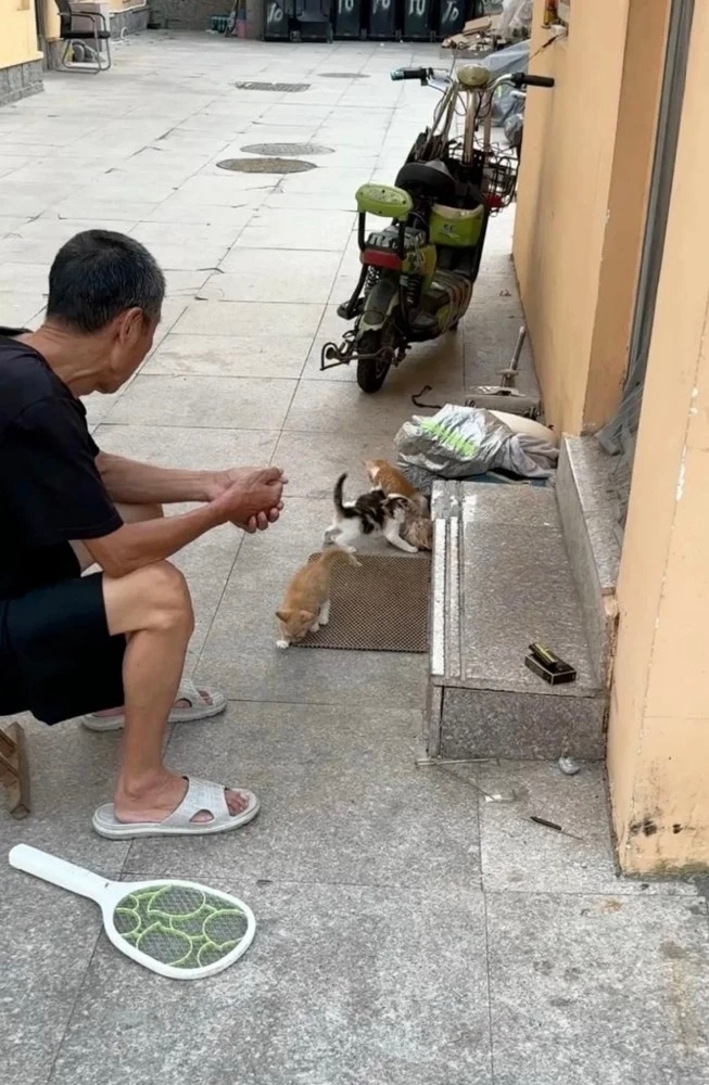 青岛大学公示采购7217台空调这事闹的这么大，现在看那么好的大爷，热心，真诚，善