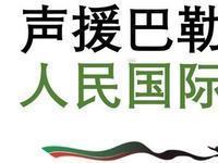 12月1日，据央视新闻客户端报道，11月29日，是声援巴勒斯坦人民国际日，埃及外
