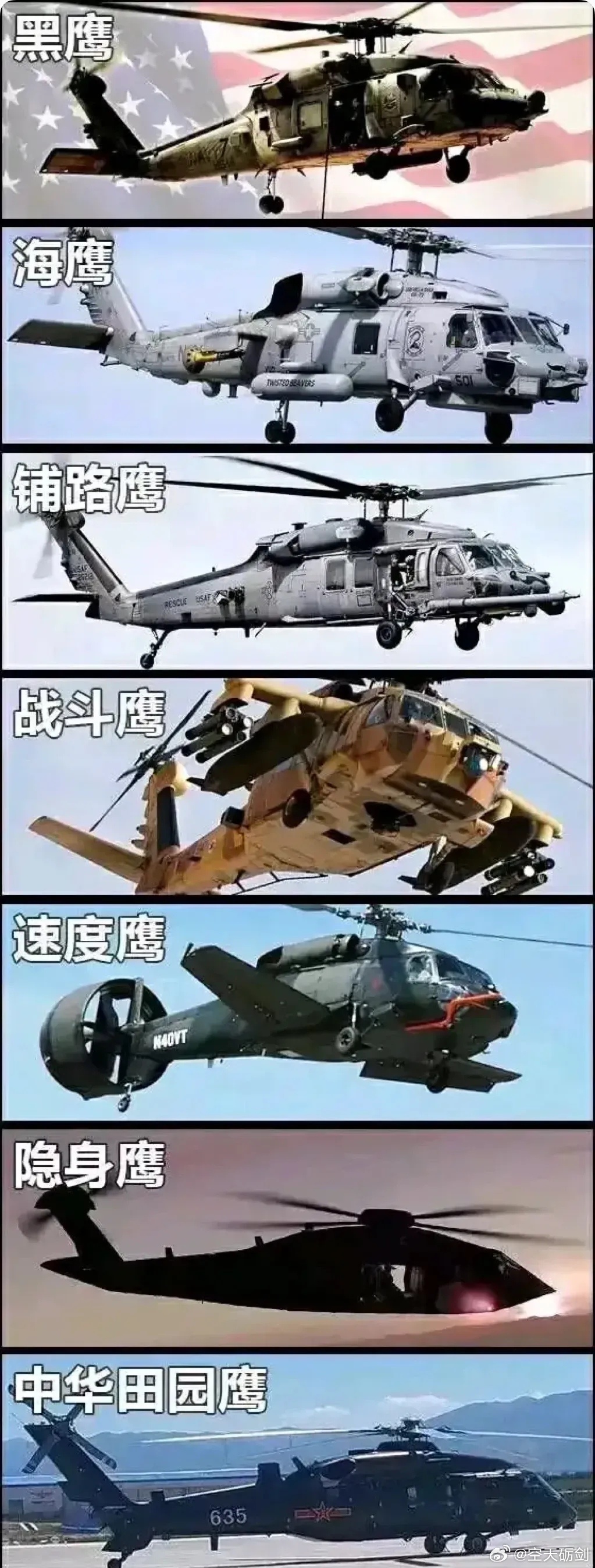 什么鹰最厉害？[喵喵] ​​​