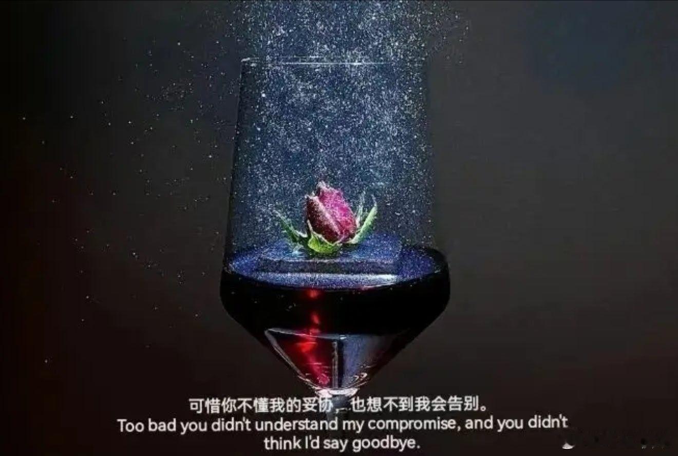 成年人最好的清醒，就是点到为止，你权衡利弊，我及时止损。 
