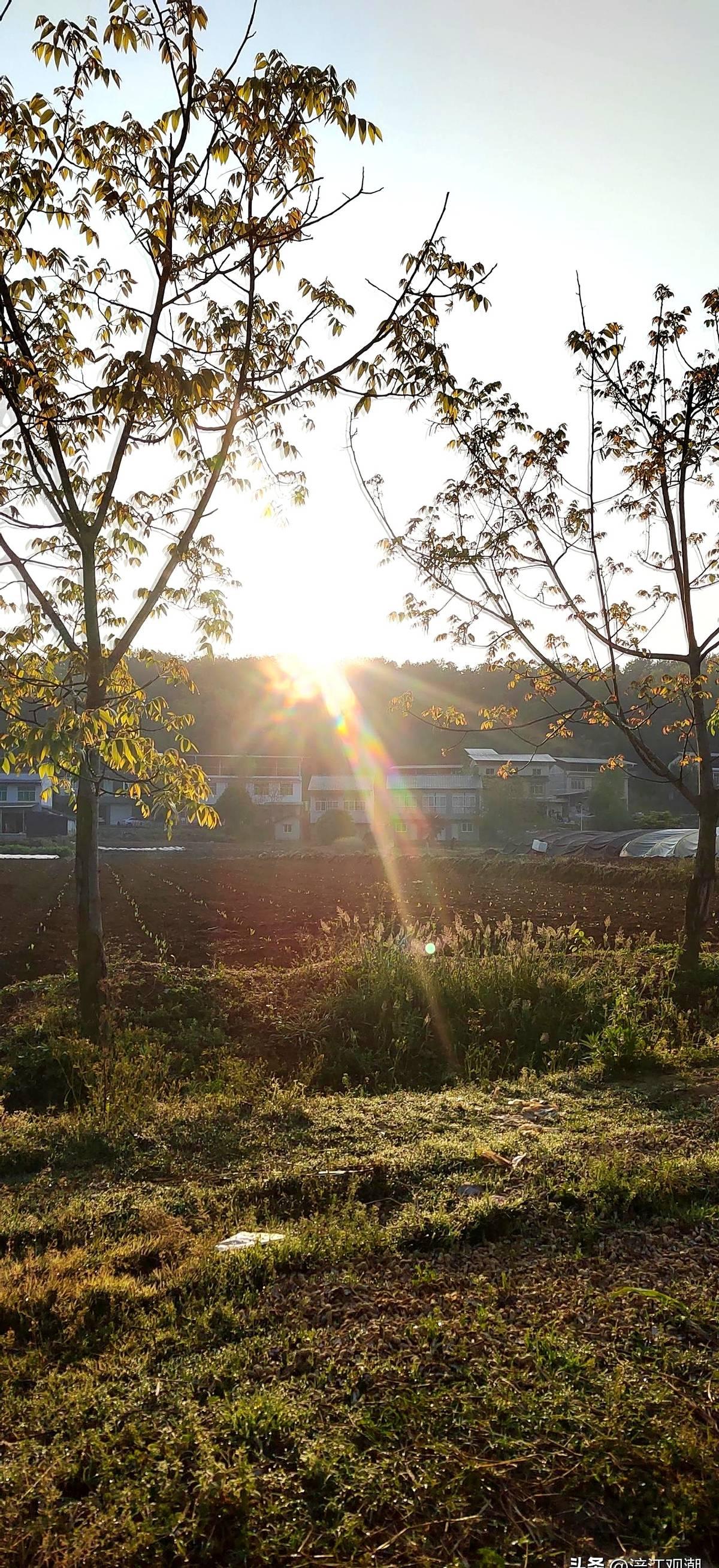 我这个老农民，也经历了那个所谓的“纯真年代”。

说白了，就是穷。现在不一样了，