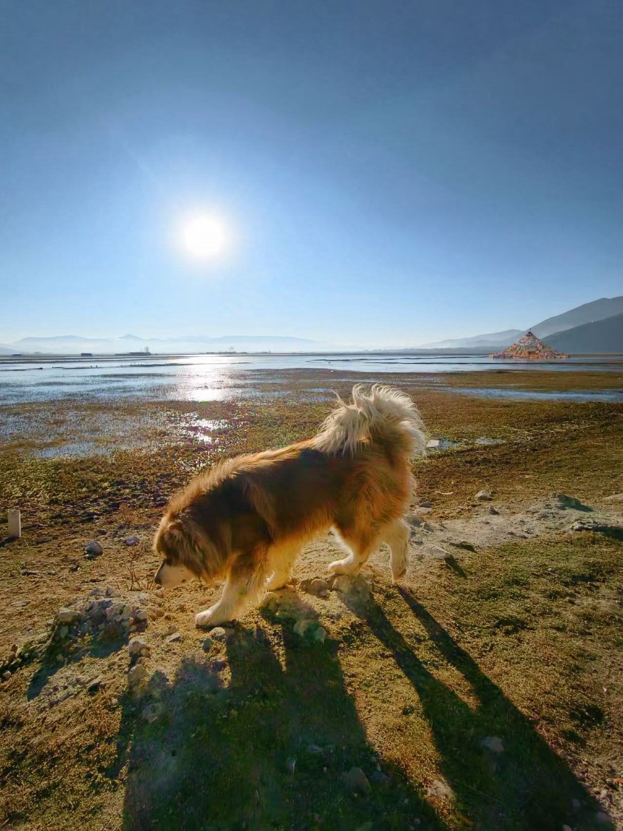 一份唯美的早餐。迎着温暖的朝阳，帽檐半遮着眼睛。看晨雾中的水甸，候鸟翩然而飞。手