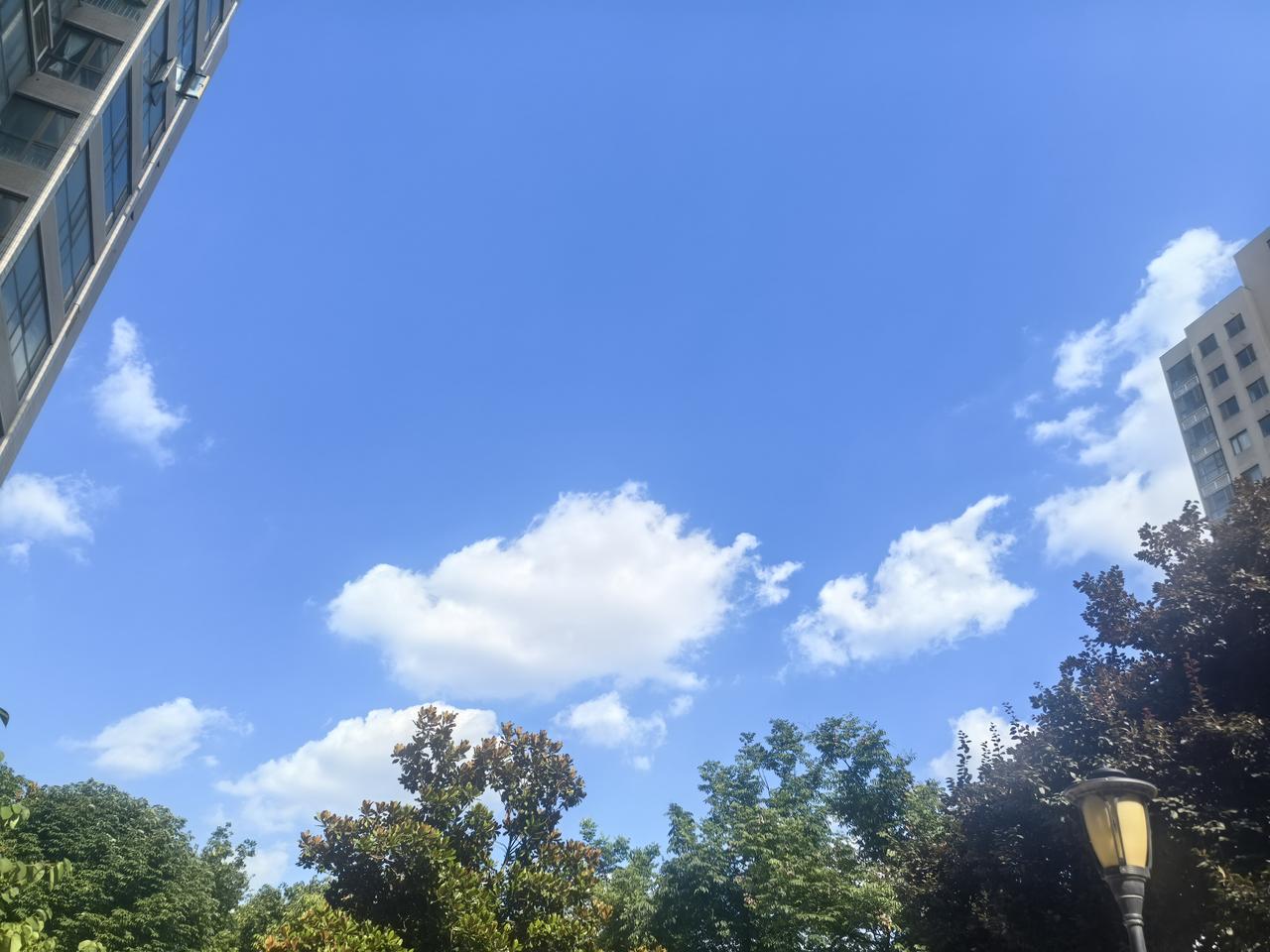 这就是西安雨后很天空图

西安雨后的天空简直绝了！就像被大自然精心擦拭过一样。
