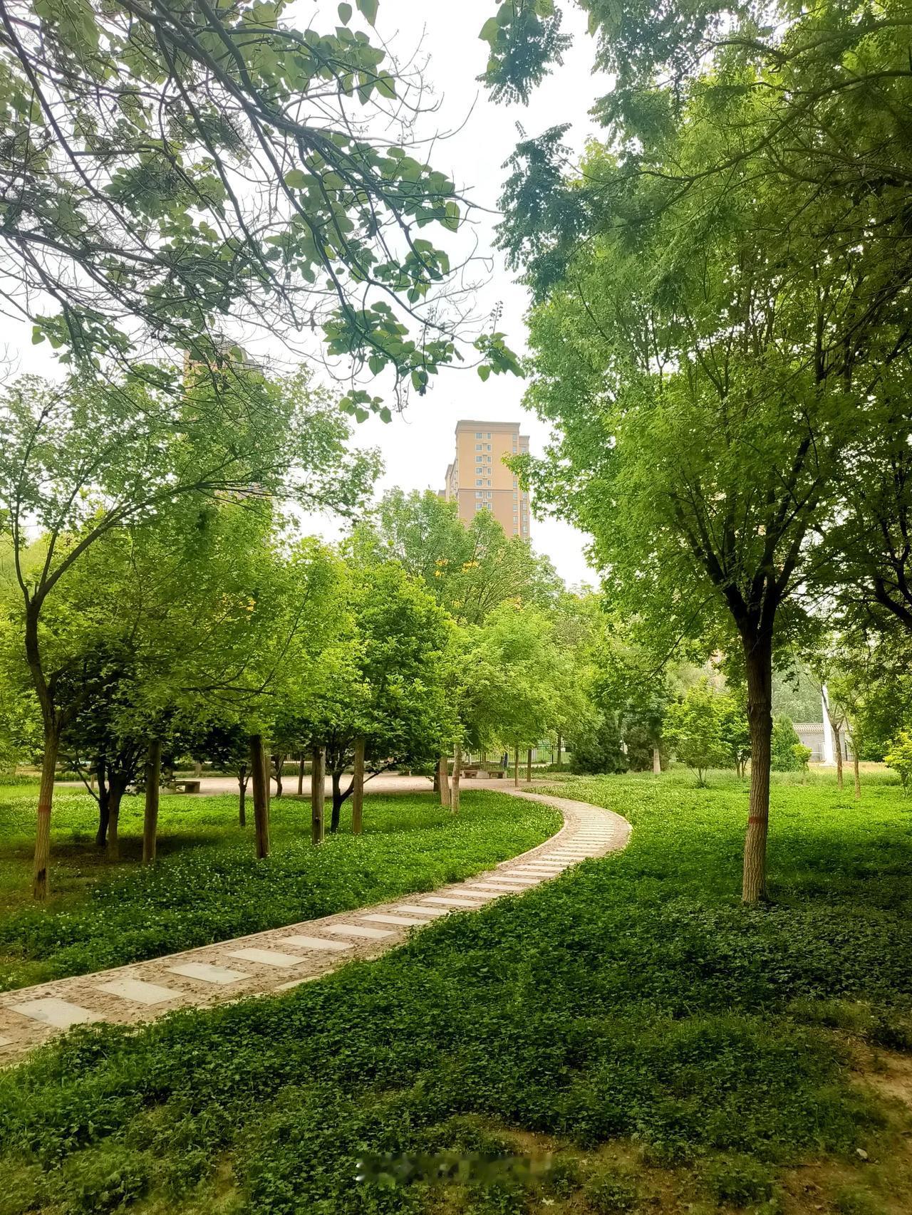 人间之善 给人信心，给人欢喜，给人希望，给人方便，都是人间之善！行善事得善报 好